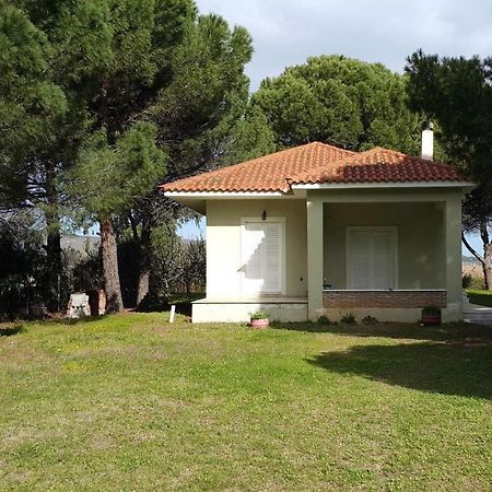 Villa Sunny Day Marathon  Bagian luar foto