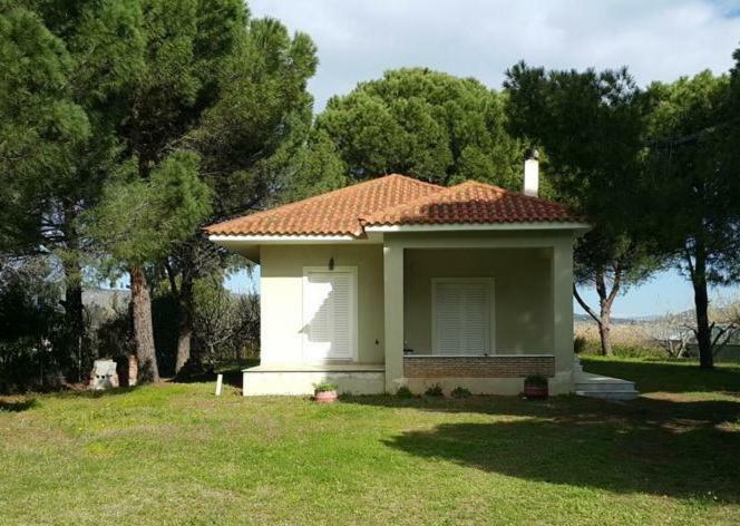 Villa Sunny Day Marathon  Bagian luar foto