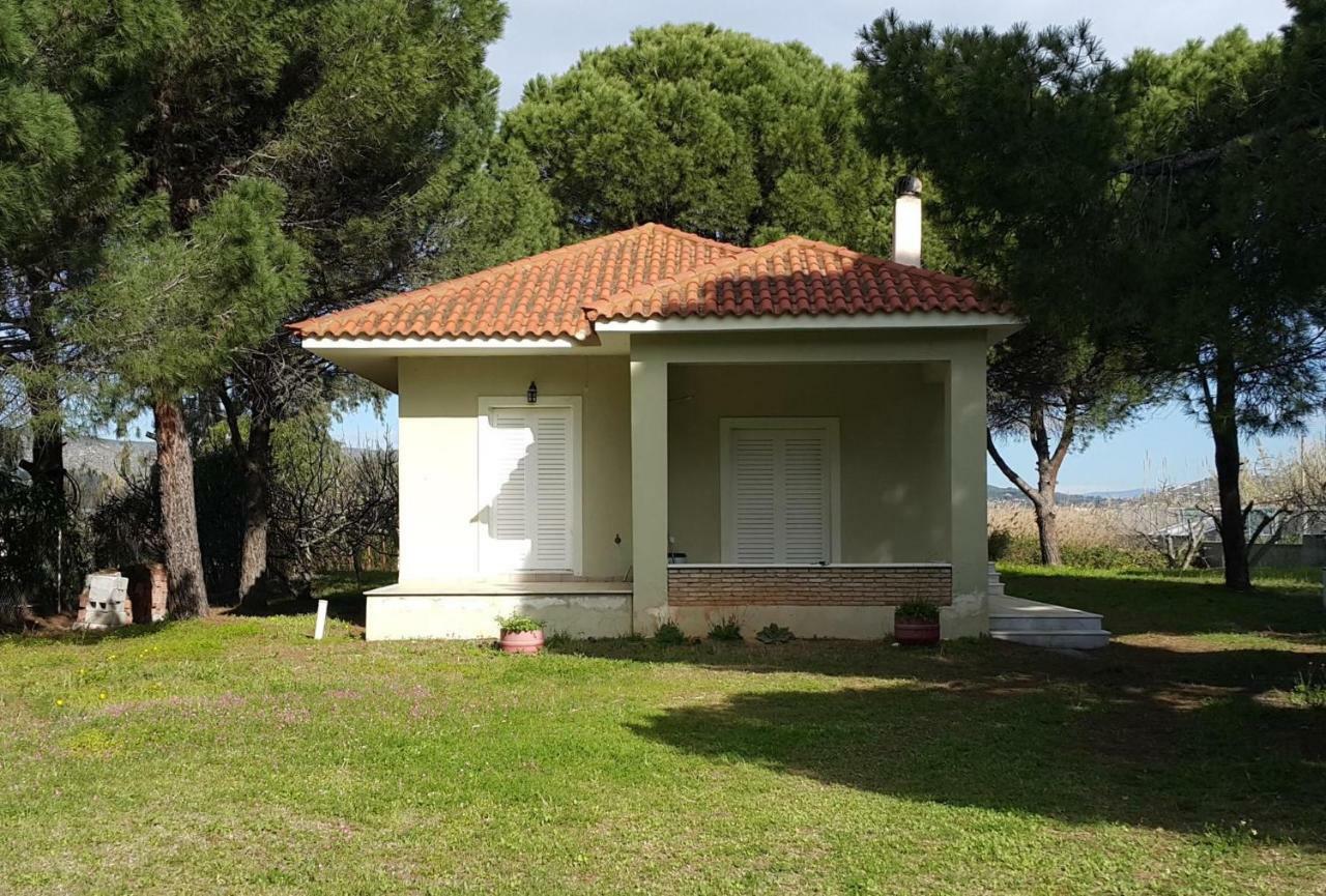Villa Sunny Day Marathon  Bagian luar foto