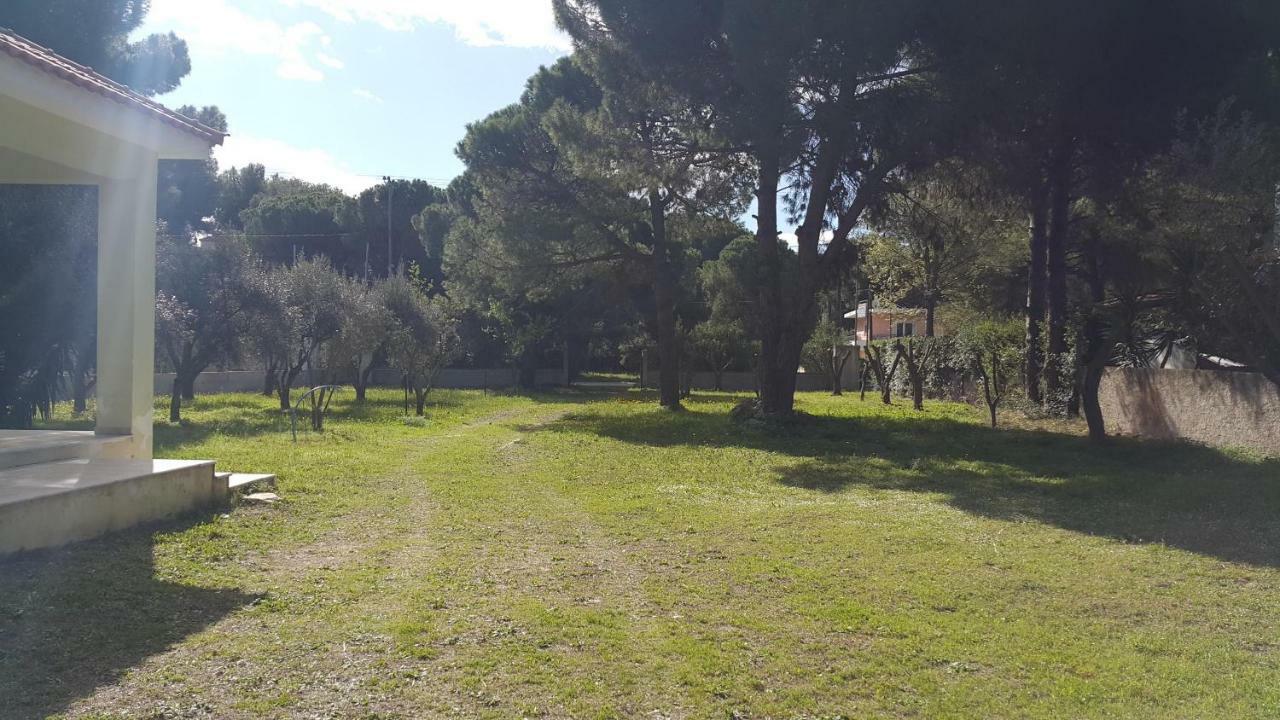 Villa Sunny Day Marathon  Bagian luar foto