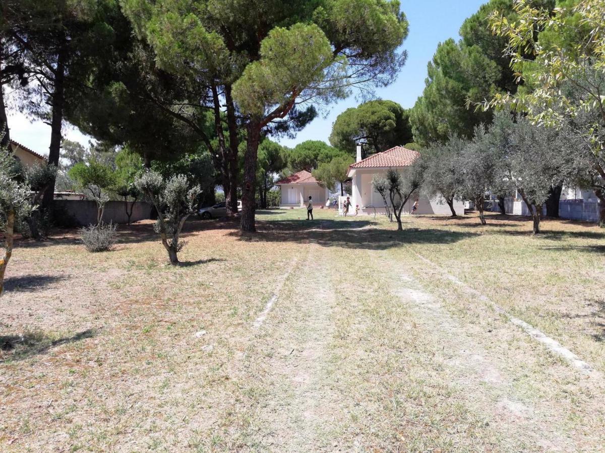 Villa Sunny Day Marathon  Bagian luar foto