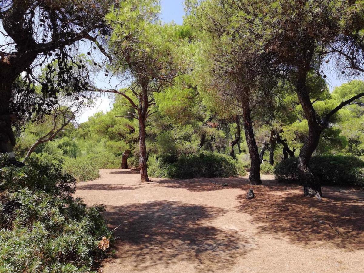 Villa Sunny Day Marathon  Bagian luar foto